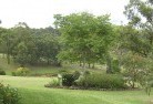 Kippaxresidential-landscaping-40.jpg; ?>